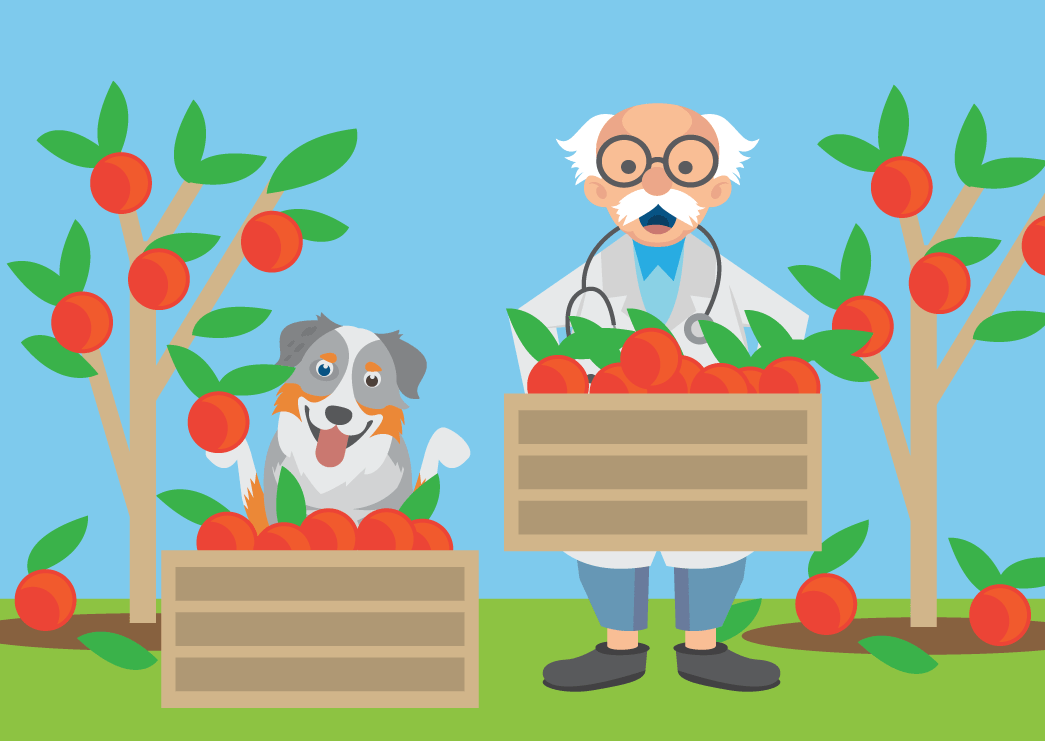 Professor and dog holding crates of apples