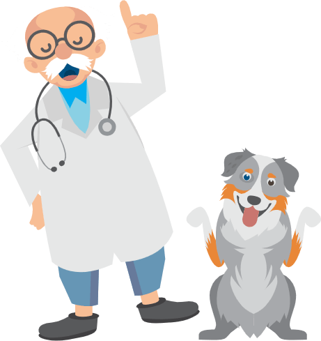 Professor wearing doctor clothes and dog pointing up